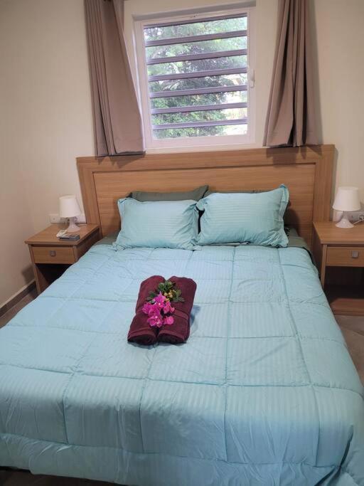 Local Willibrord Lodge Willibrordus Екстериор снимка